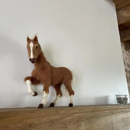 Maison De Ferme Renovee 18eme Siecle Avec Piano Et Charme Authentique - Fr-1-489-433 Holiday home Ygrande